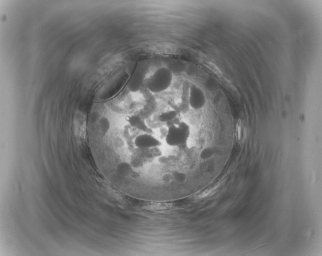 X0000087511251200705111932