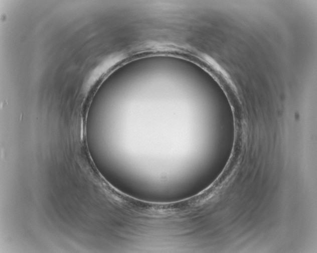 X0000087511269200705111932
