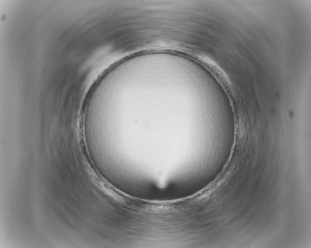 X0000087511278200705111932