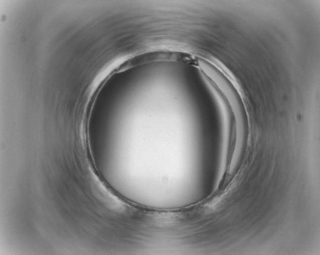 X0000087511293200705111932