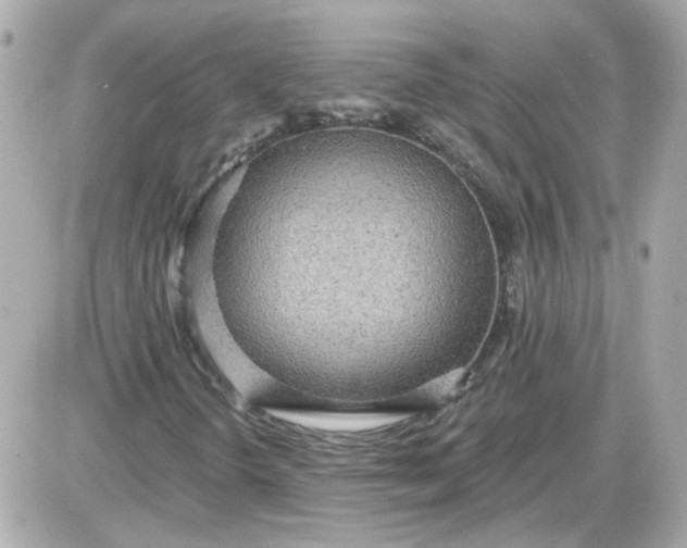 X0000087511298200705111931