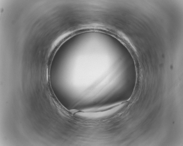 X0000087511320200705111931
