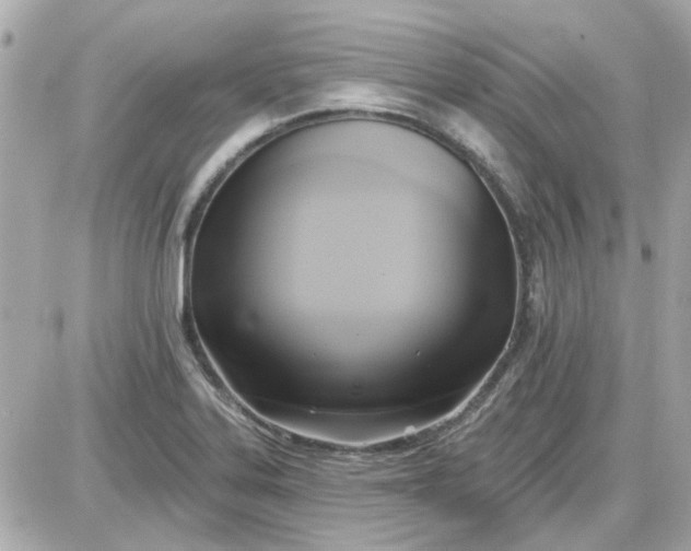 X0000087511323200705111931