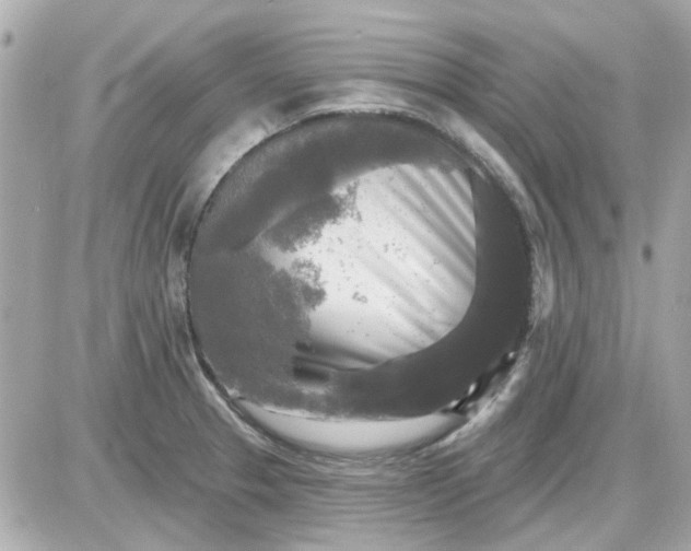 X0000087511329200705111931