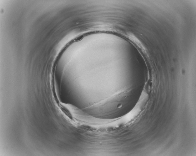 X0000087511334200705111932