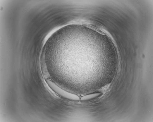 X0000087511344200705111932