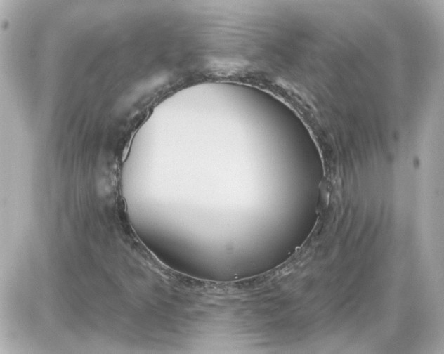 X0000087511349200705111931