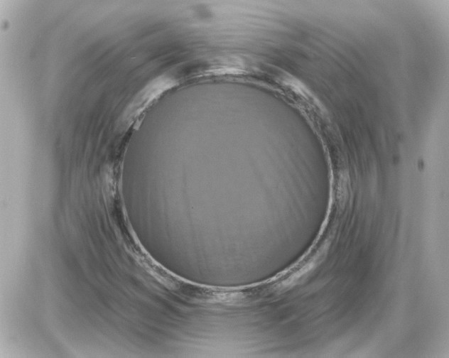 X0000087511353200705111931