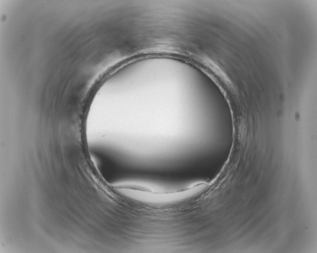 X0000087511356200705111931