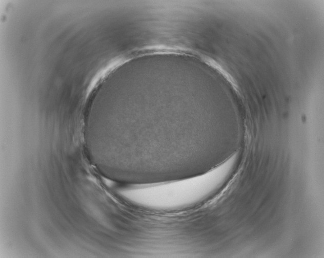 X0000087511357200705111931