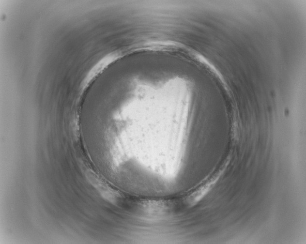 X0000087511362200705111931