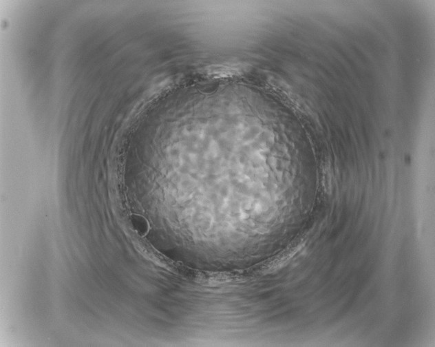 X0000087511393200705111929