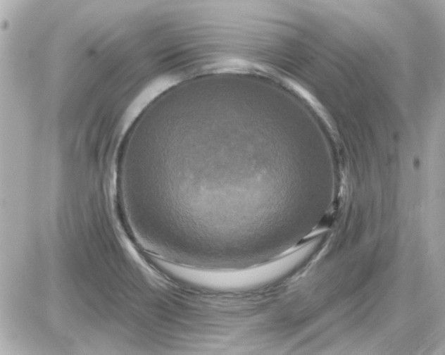 X0000087511418200705111930