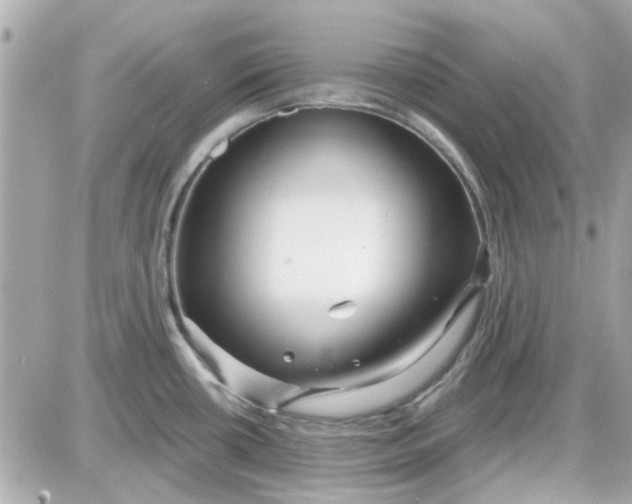 X0000087511434200705111930
