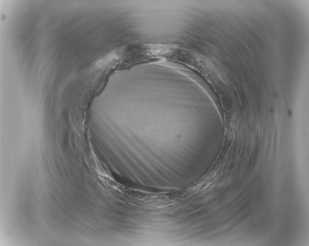 X0000087511441200705111929