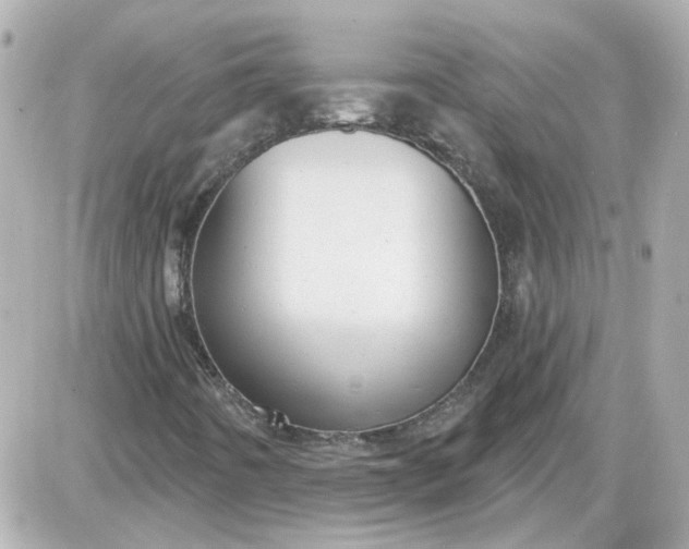 X0000087511442200705111929