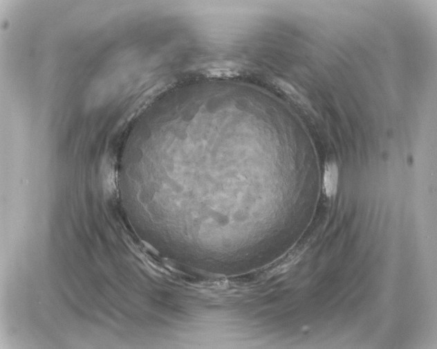 X0000087511444200705111929