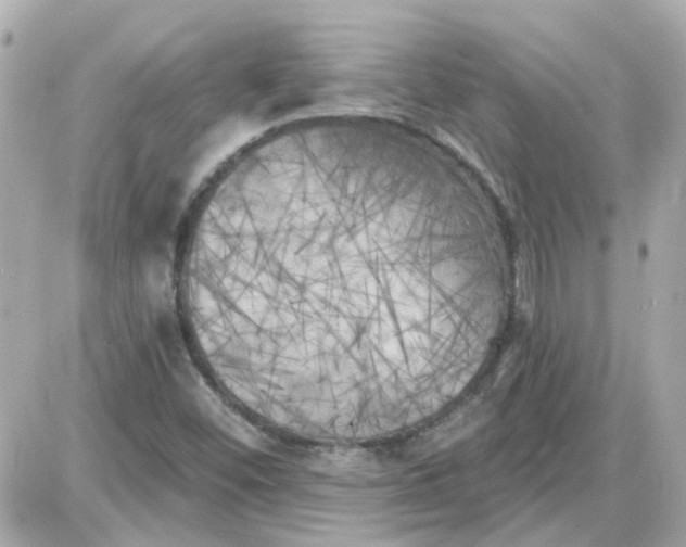 X0000087511452200705111929
