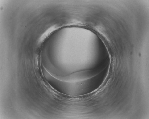 X0000087511455200705111929