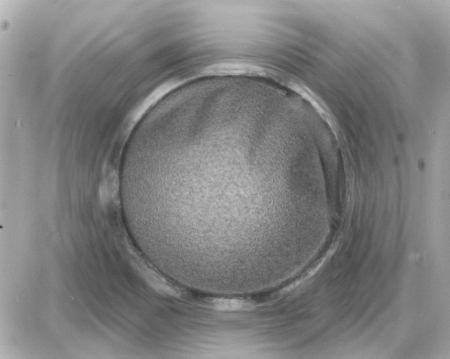 X0000087511465200705111929
