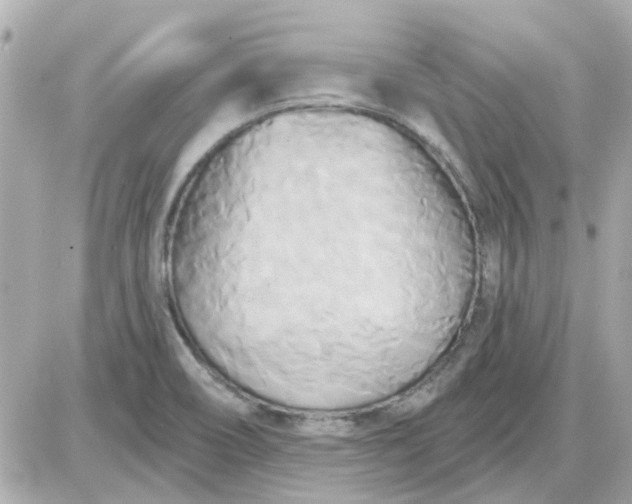 X0000087511466200705111929