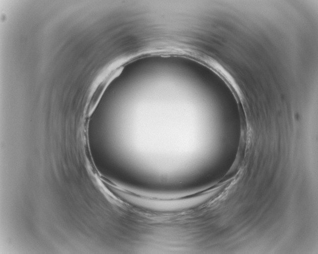 X0000087511485200705111929