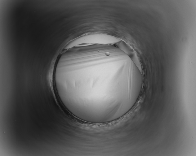 X0000087510003200705181002