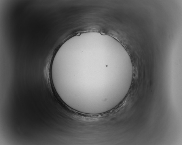 X0000087510004200705181002