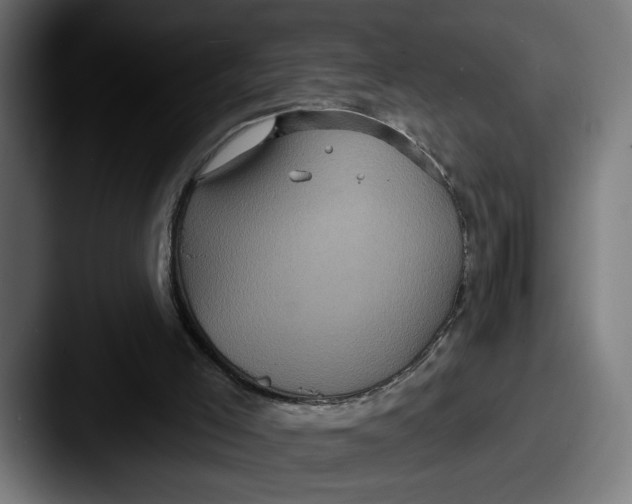 X0000087510005200705181002