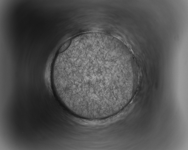 X0000087510006200705181002