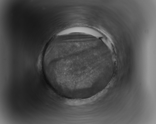 X0000087510009200705181002