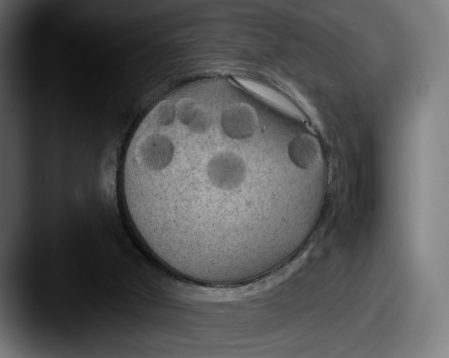 X0000087510010200705181002