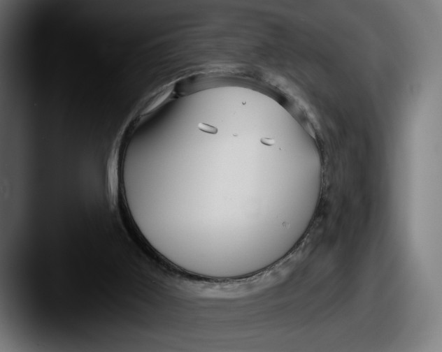 X0000087510011200705181002