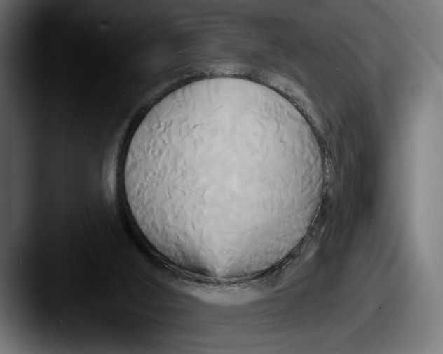 X0000087510012200705181002