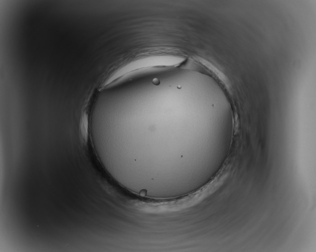 X0000087510013200705181002