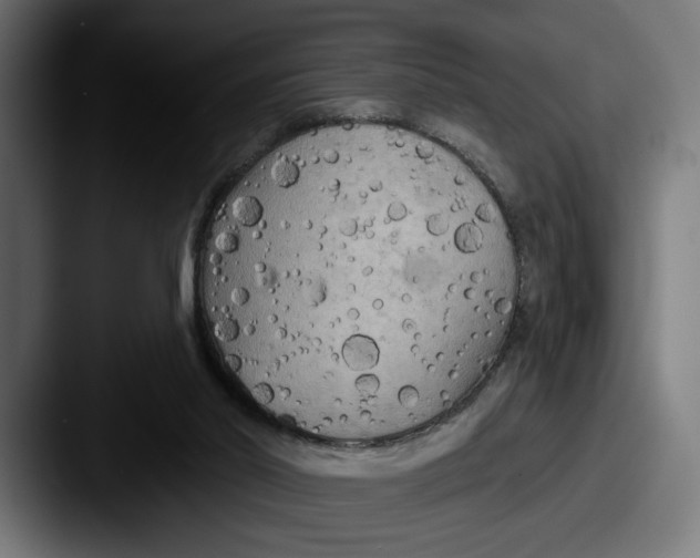 X0000087510014200705181002