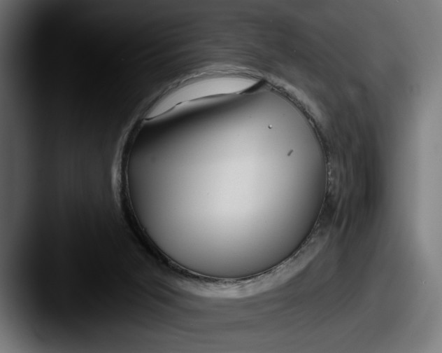 X0000087510015200705181002