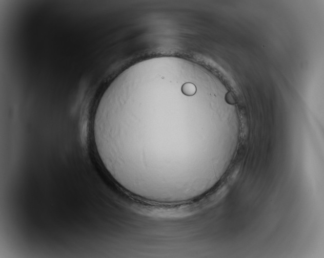 X0000087510016200705181002