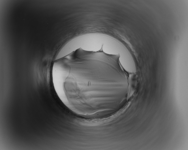 X0000087510019200705181002