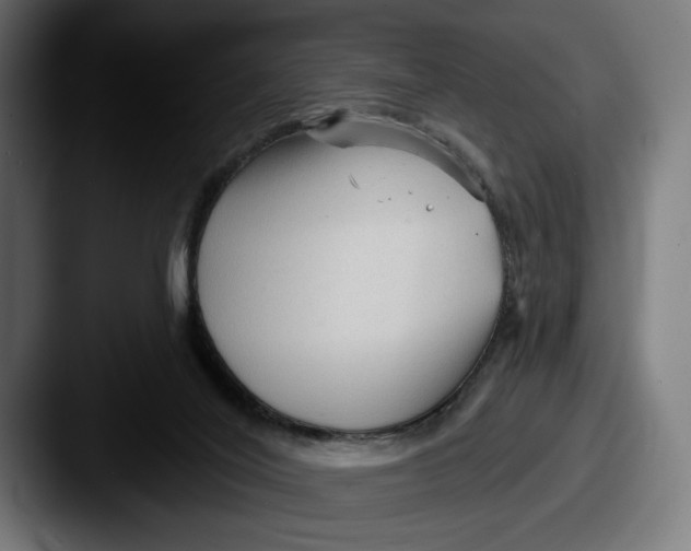 X0000087510020200705181002