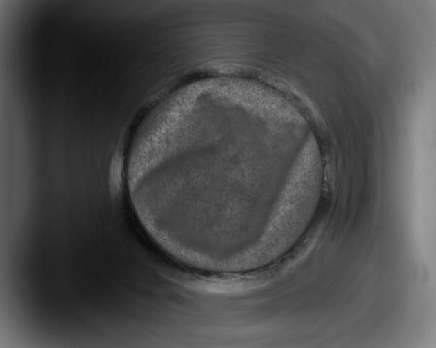 X0000087510024200705181002