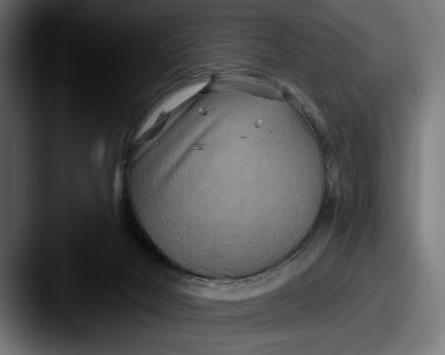 X0000087510026200705181002