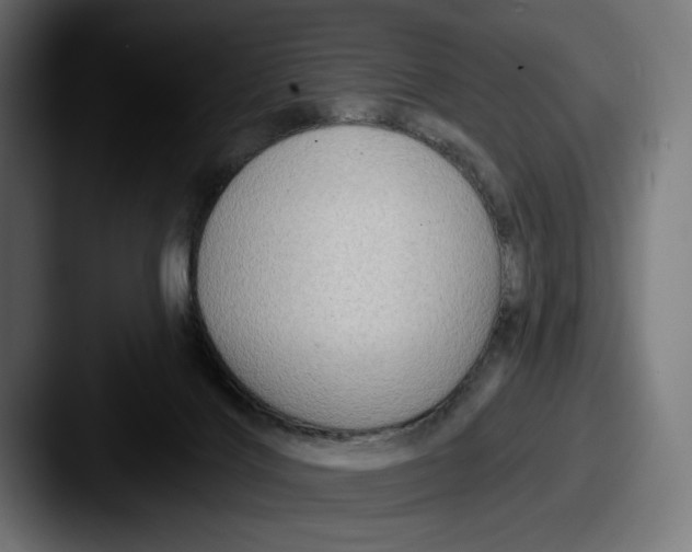 X0000087510028200705181002