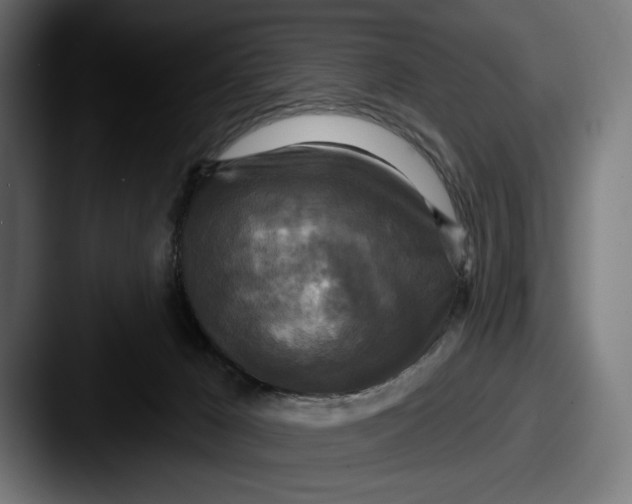 X0000087510029200705181002