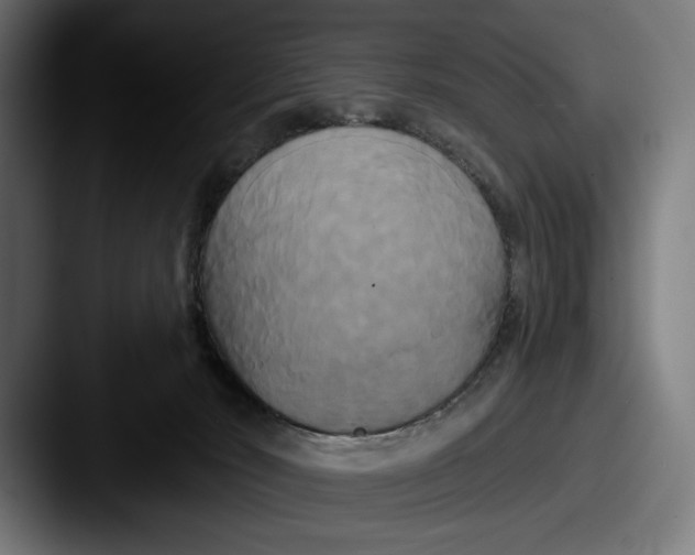 X0000087510030200705181002