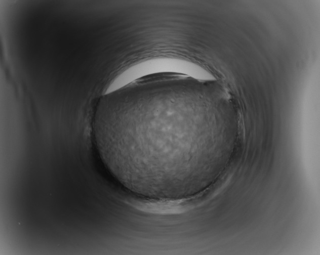 X0000087510032200705181002