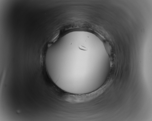 X0000087510033200705181002