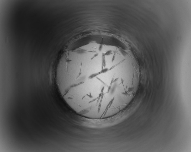 X0000087510034200705181002