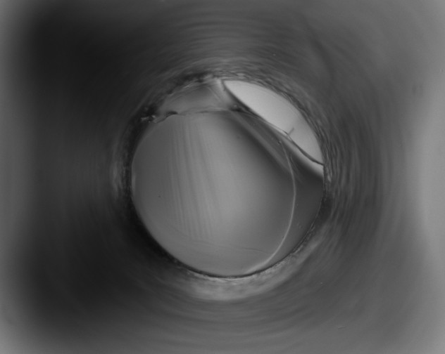 X0000087510035200705181002