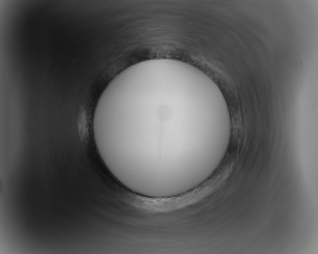 X0000087510038200705181002